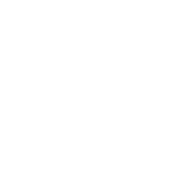 National Auction Association — Auctioneer logo
